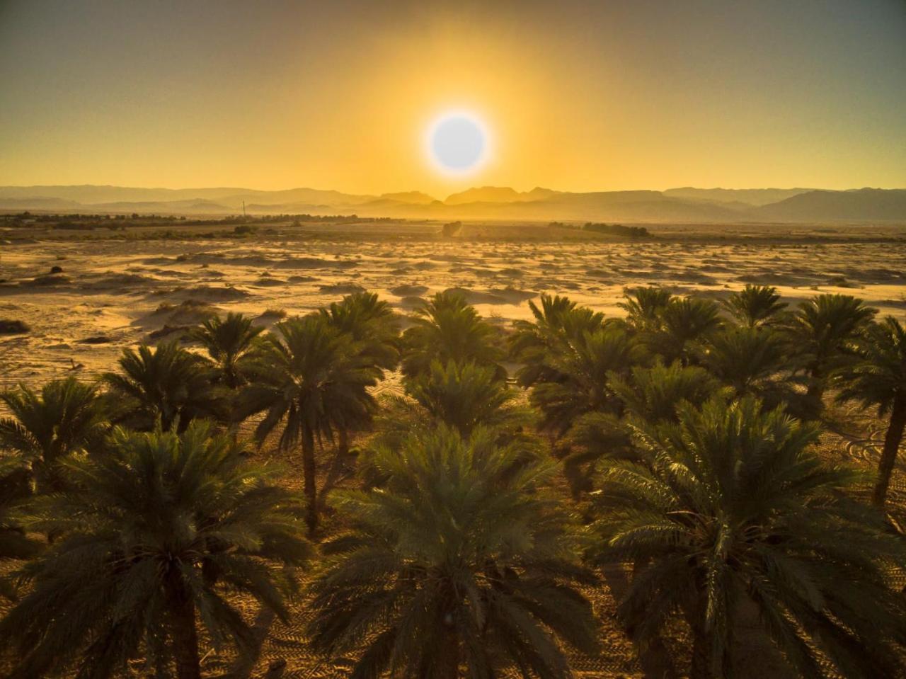 Lotan Desert Travel Hotel Nahal Ya'alon ภายนอก รูปภาพ